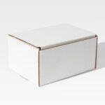 The Cardboard Mailer, a white rectangular box with a lid, is displayed against a plain background.