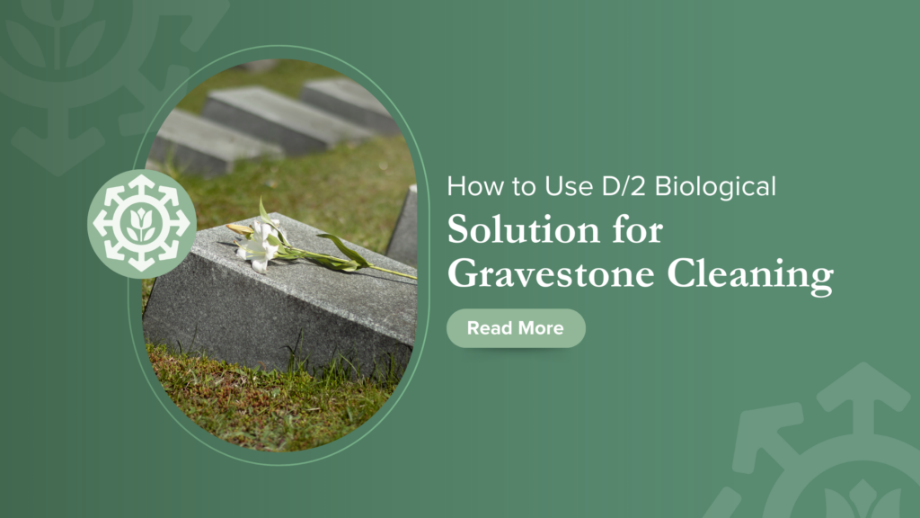 A gravestone adorned with a white lily is featured. The text reads "How to Use D/2 Biological Solution for Gravestone Cleaning," highlighting the effectiveness of this method, with a "Read More" button on a green background.